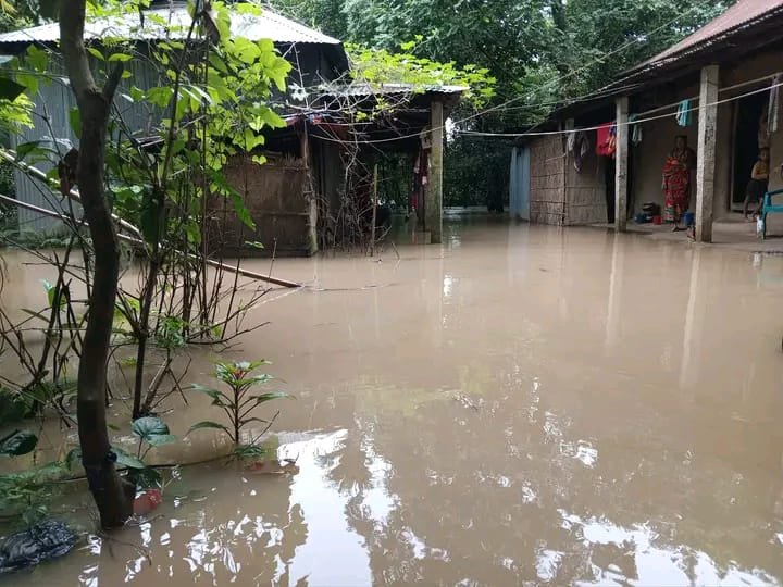 দোয়ারাবাজারে ফের বাড়ছে নদ-নদীর পানি, নিম্নাঞ্চলে বন্যা আতঙ্ক