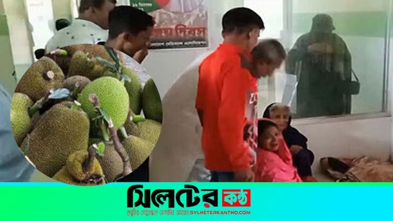 মসজিদে কাঁঠালের নিলাম নিয়ে সংঘর্ষ, নিহত ৩