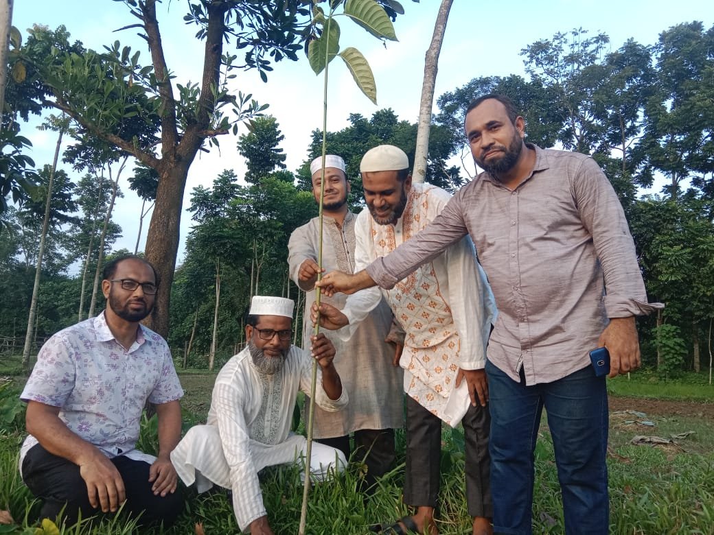 ঐতিহ্যবাহী শিক্ষাপ্রতিষ্ঠান আল মদিনা একাডেমির বৃক্ষরোপণ  অভিযান সম্পন্ন