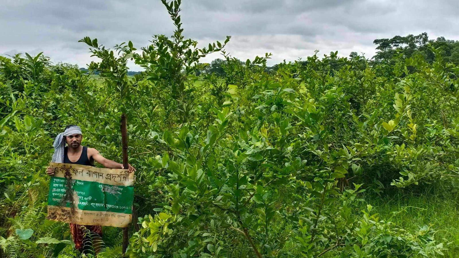 সরকারি প্রনোদনায় বিশ্বনাথে লেবু চাষে লাভবান সাংবাদিক বদরুল