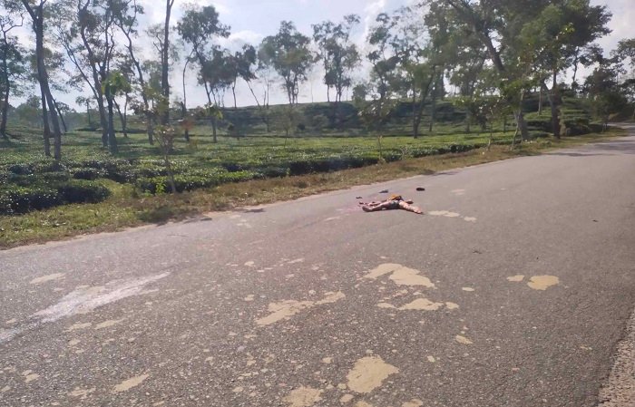 হবিগঞ্জে ট্রাক চাপায় শিশু নিহত