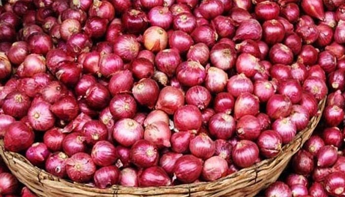 ভারত থেকে এসেছে ১৩৪৩ টন পেঁয়াজ