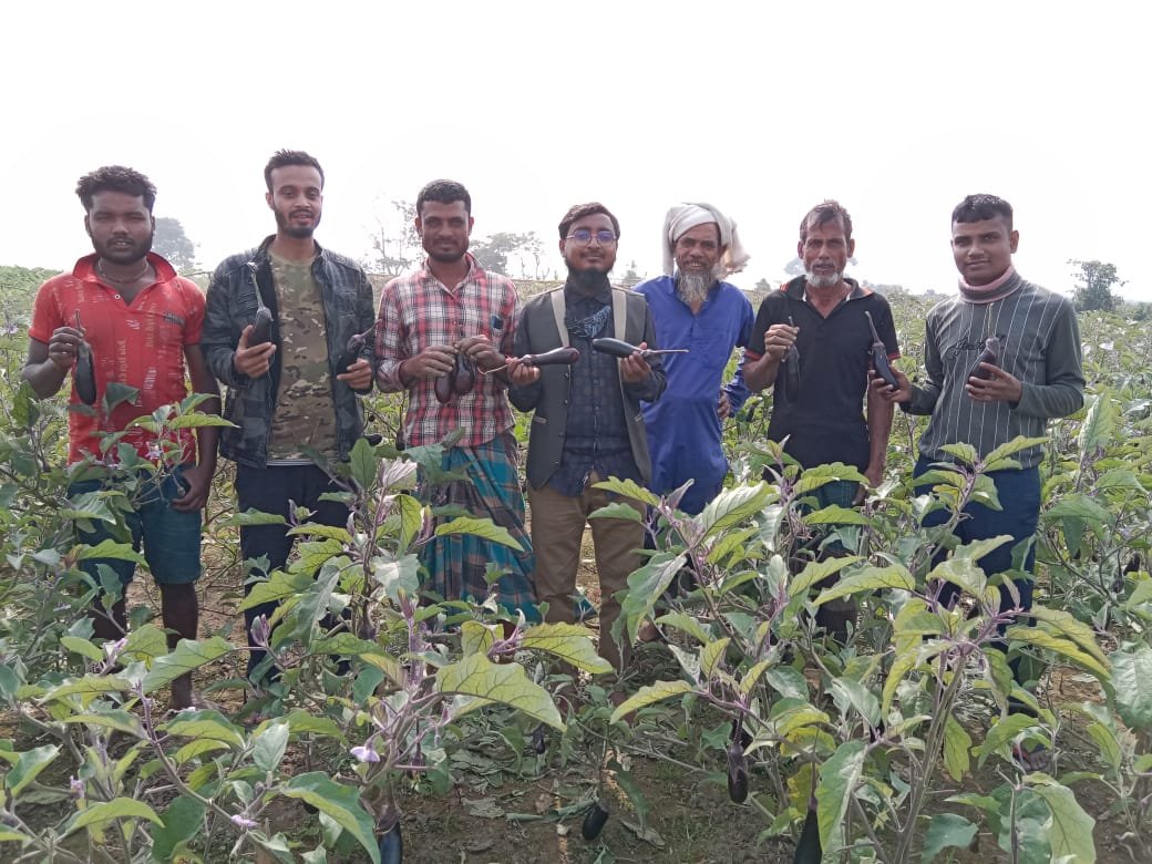 সবজি চাষে দোয়ারাবাজারের উসমান গনী’র সফলতা