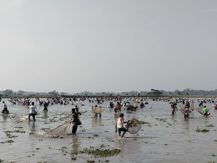 বিশ্বনাথে ঝপ ঝপা ঝপ শব্দের তালে চলে পলো বাওয়া