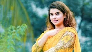 যারাই ক্ষমতায় আসবে তারাই চুরি করবে : শবনম ফারিয়া