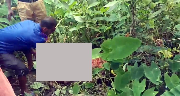 মাধবপুরে এক মাদ্রাসা ছাত্রের ছুরিকাঘাতে আরেক ছাত্র খুন