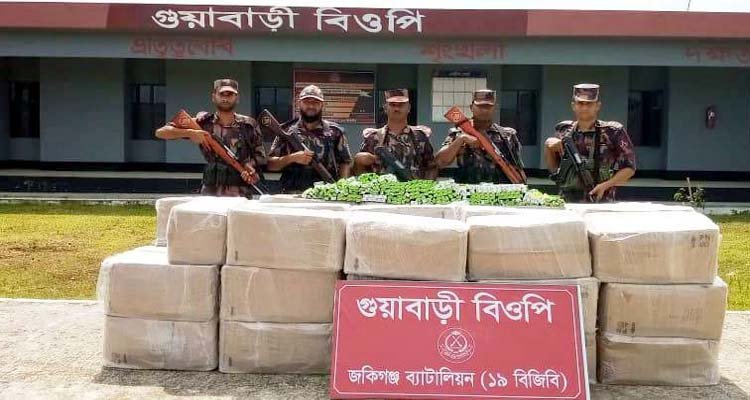 সিলেটে ২৮ লাখ টাকার ভারতীয় ঔষধ জব্দ করল বিজিবি