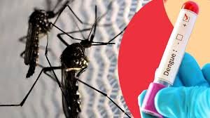 এ বছর ডেঙ্গুতে মৃত্যু ২০০ ছুঁই ছুঁই