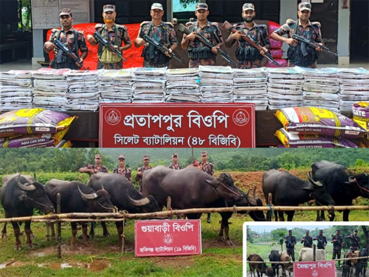 সিলেট সীমান্তে ধরা পড়লো সাড়ে ৩ কোটি টাকার চালান