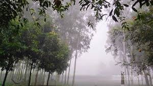 শরতের ভোরে পঞ্চগড় ও জয়পুরহাটে কুয়াশা, শীতের আমেজ