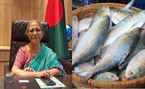 কোনো চাপে নয়, ভারতের অনুরোধে ইলিশ পাঠানো হয়েছে: উপদেষ্টা