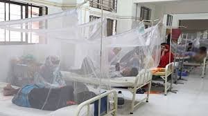 ডেঙ্গুতে আরো ৩ জনের মৃত্যু, হাসপাতালে ৩৬৩ জন