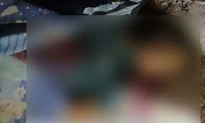 গরু চোর ধরতে গিয়ে পিকআপচাপায় শ্রমিক দল নেতা নিহত, আহত ২