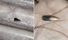 মিয়ানমার থেকে ছোড়া গুলিতে টেকনাফের নারী আহত