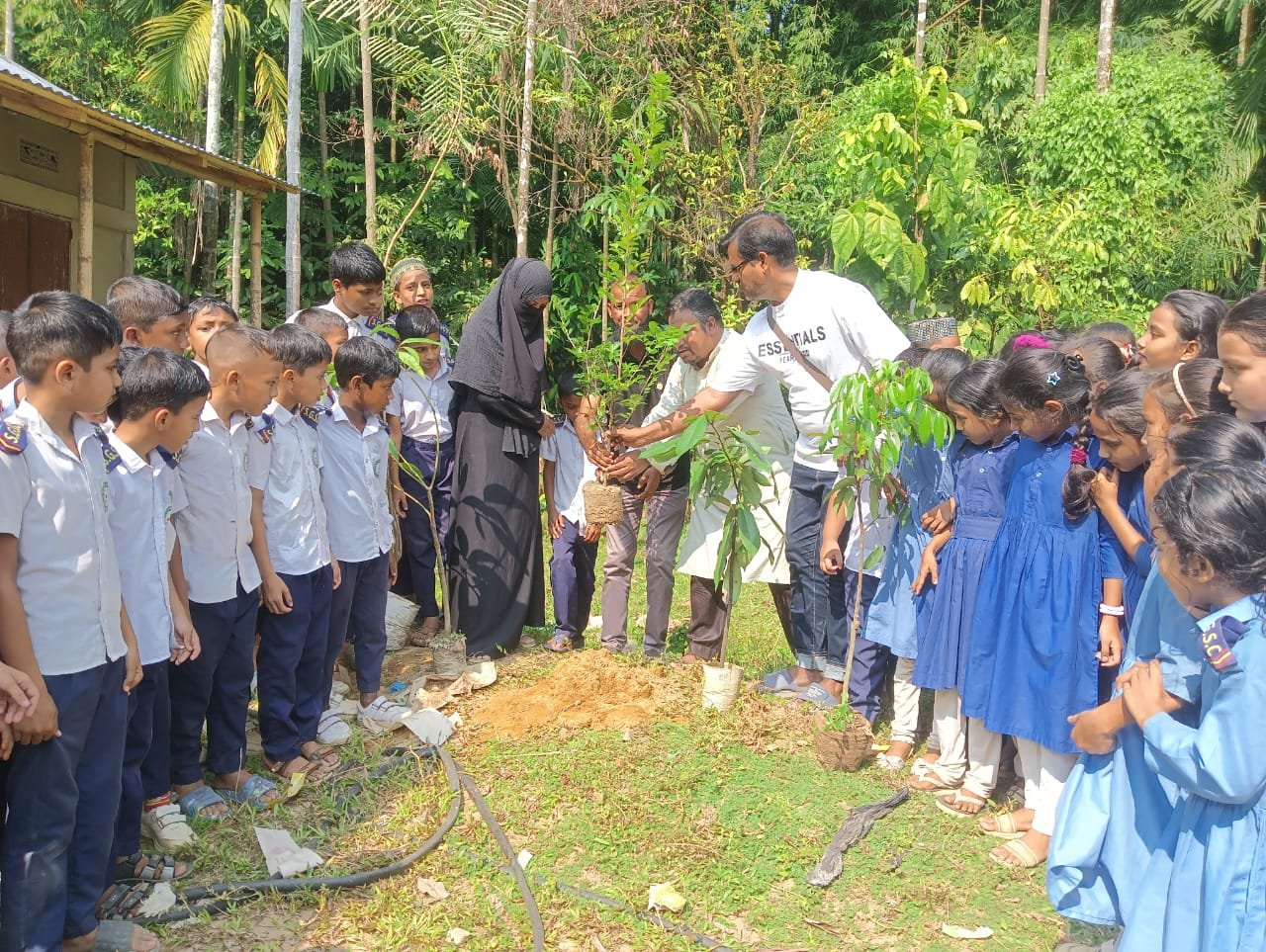 “জলবায়ু পরিবর্তনের মোকাবেলায় বৃক্ষরোপণের বিকল্প নেই”-গোলজার আহমদ হেলাল