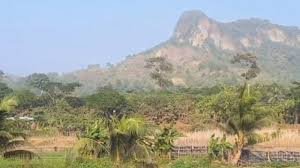 টেকনাফে পাহাড়ে জিম্মি করে রাখা ৪৪ জনকে উদ্ধার