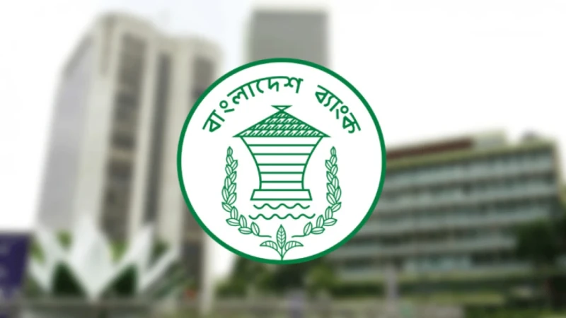 ব্যাংকের এমডি হতে লাগবে ২৫ বছরের অভিজ্ঞতা