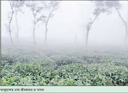 দেশের সর্বনিম্ন তাপমাত্রা শ্রীমঙ্গলে ১২.৫ ডিগ্রি