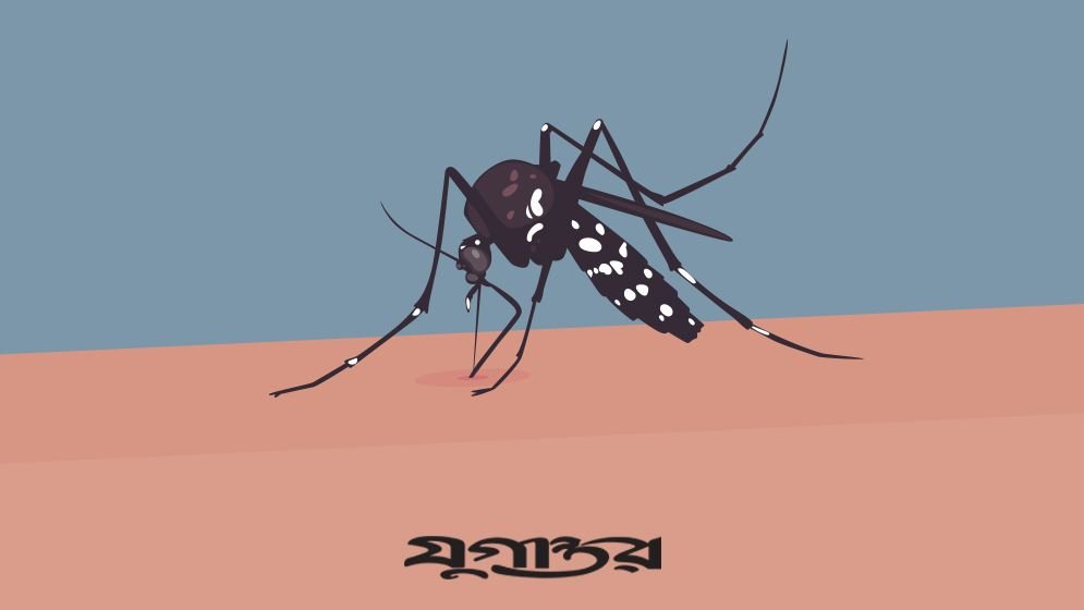 ডেঙ্গুতে একদিনে ১০ জনের মৃত্যু