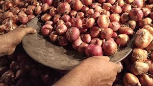 চলতি সপ্তাহে দাম না কমলে পেঁয়াজ আমদানির অনুমোদন