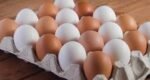 লাল নাকি সাদা— কোন রঙের ডিম বেশি উপকারী?