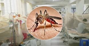 সিলেটে ২৪ ঘন্টায় ডেঙ্গু শনাক্ত ১৫ জন