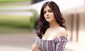 ফের বিয়ের পিঁড়িতে ‘বোঝে না সে বোঝে না’র সেই পাখি