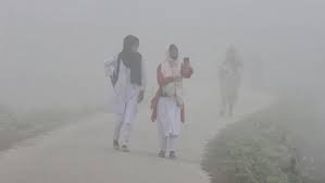 এমন কুয়াশা কতদিন থাকতে পারে জানাল আবহাওয়া অফিস