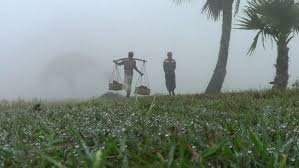 কুয়াশা নিয়ে নতুন তথ্য