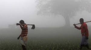 মঙ্গলবার থেকে তীব্র শৈত্যপ্রবাহের আভাস, তাপমাত্রা নামতে পারে ৪ ডিগ্রিতে