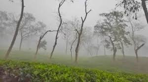 ৯ ডিগ্রি তাপমাত্রায় কাঁপছে শ্রীমঙ্গল