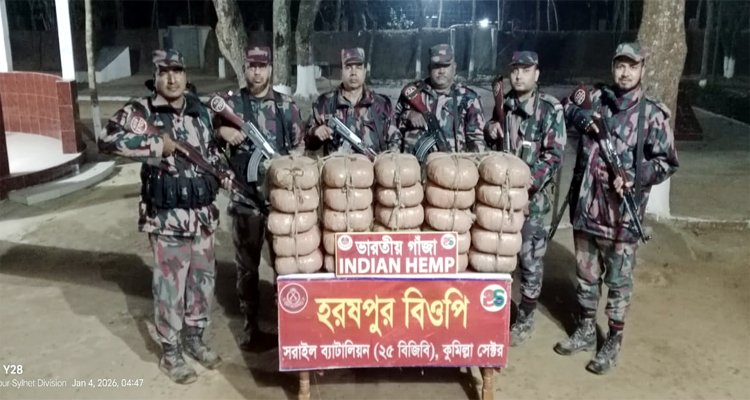 মাধবপুরে ৫০ কেজি ভারতীয় গাঁজা উদ্ধার