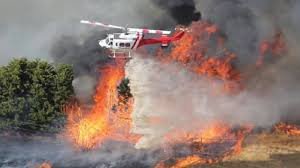 দাবানলে পুড়ছে ভারতের অরুণাচল-নাগাল্যান্ড