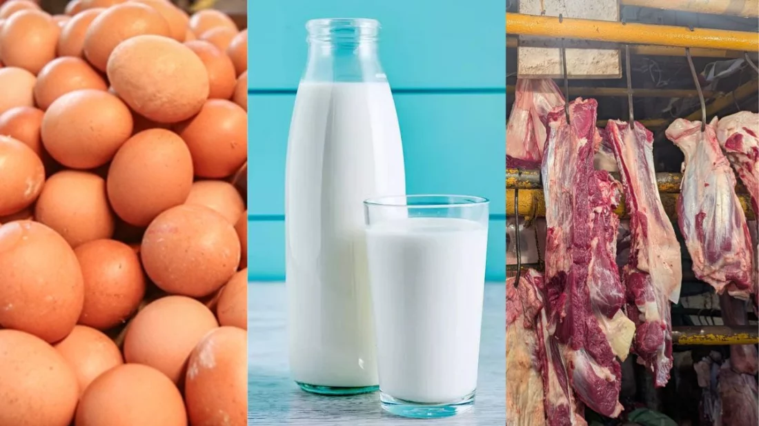 রমজানে ঢাকার ২৫ স্থানে কম দামে বিক্রি হবে ডিম, দুধ ও মাংস