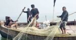 মধ্যরাত থেকে পদ্মা-মেঘনায় ২ মাস মাছ ধরা নিষিদ্ধ