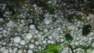 শিলাবৃষ্টিতে আতঙ্কিত সুনামগঞ্জ হাওরের কৃষক