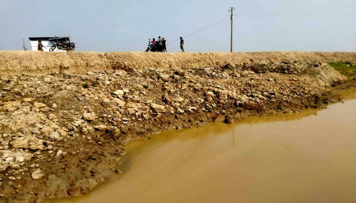 সুনামগঞ্জের নলুয়ার হাওরে বাঁধ কাটার অভিযোগ, ঝুঁকিতে বোরো ফসল