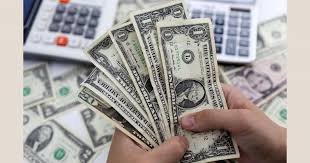 মার্চের ২৮ দিনে এলো ৩৩৩ কোটি ডলার