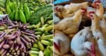 সবজি বাজারে স্বস্তি মিললেও ঊর্ধমুখী মাছ-মুরগির দাম