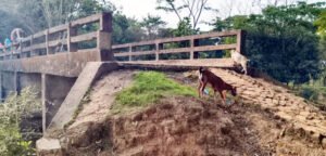 ‘ব্রিজ আছে, রাস্তা নেই’ কমলগঞ্জে অব্যবস্থাপনার ২৯ বছর