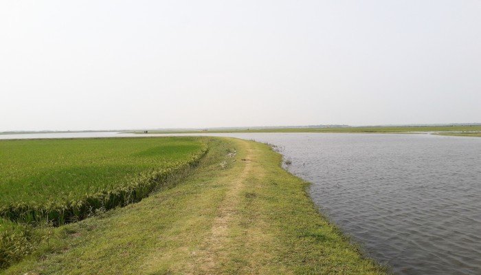 নির্ধারিত সময় পেরিয়েও শেষ হয়নি বাঁধের কাজ, ক্ষোভ কৃষকদের