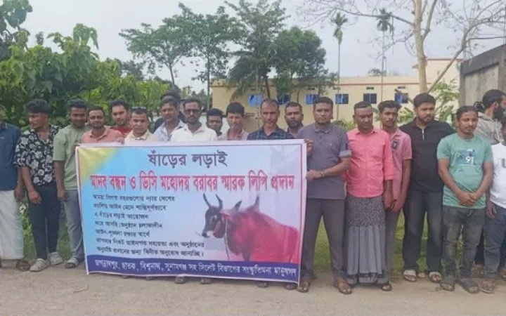 ষাঁড়ের লড়াইয়ের অনুমোদন চেয়ে জগন্নাথপুরে মানববন্ধন