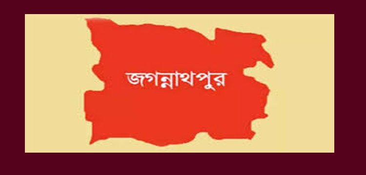 জগন্নাথপুরে জামিন পেয়ে বাদীপক্ষের বাড়িতে হামলা-ভাঙচুর যুবদল নেতার