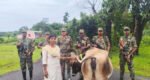 খোয়াই নদী থেকে বি‌জি‌বি ও বিএসএফের সহায়তায় ভারতীয় গাভী উদ্ধার