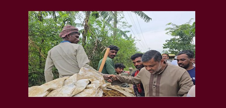 হাওর রক্ষায় সরকারের মেগা প্রকল্প দরকার: শিশির মনির