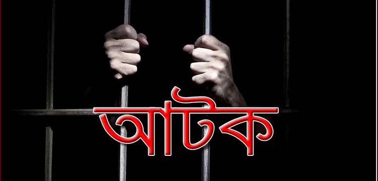 কোম্পানীগঞ্জে শিশুর প্রতি সহিংসতার অভিযোগে যুবক আটক