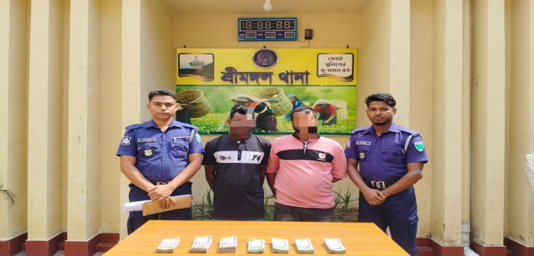 শ্রীমঙ্গলে পুলিশের অভিযানে ৫ লাখ টাকাসহ গ্রেফতার ৭
