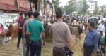 পাঠানটুলায় পুলিশের উচ্ছেদের পরই আবার বসল পশুর হাট
