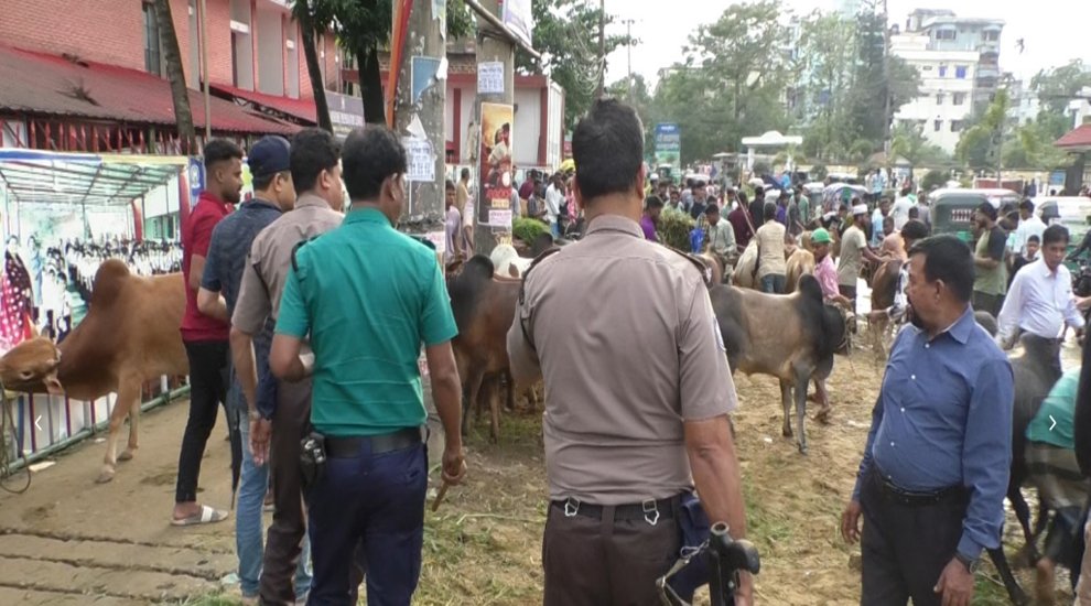 পাঠানটুলায় পুলিশের উচ্ছেদের পরই আবার বসল পশুর হাট