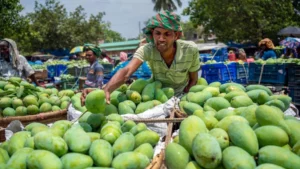 বাজারে গিয়ে ভালো আম চিনবেন যেভাবে